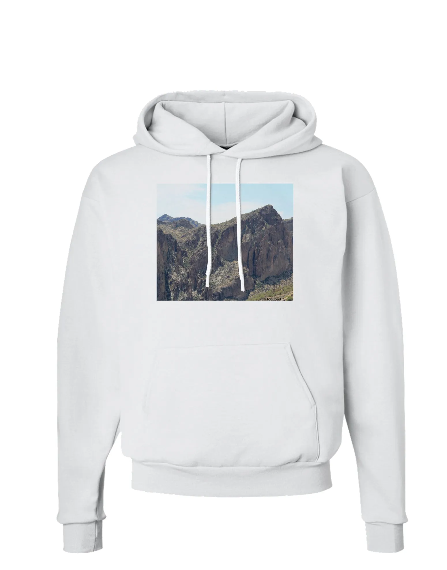 Arizona Saguaro Lake Mountains Hoodie Sweatshirt