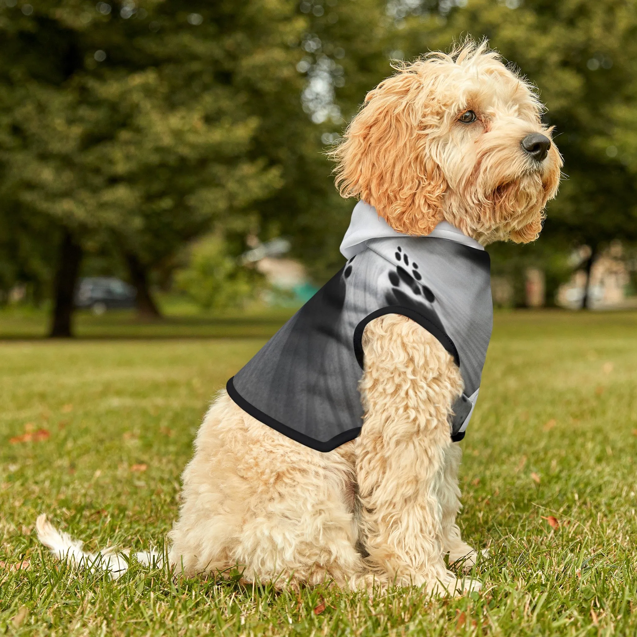 Pet Hoodie