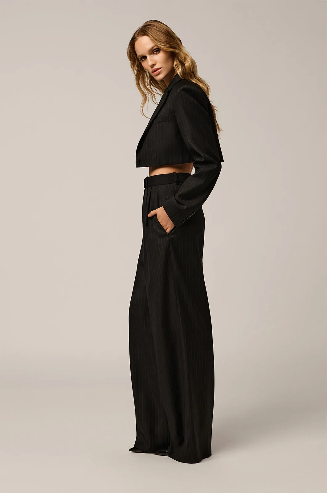 PINSTRIPE HIGH WAIST PLEATED PANT